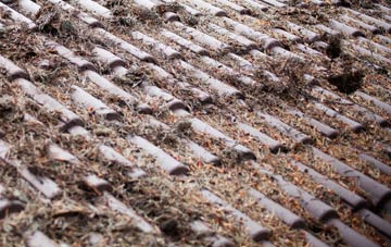 Cripplestyle roof cleaning companies