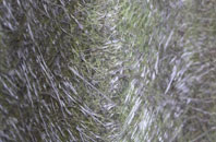 Cripplestyle fibreglass roof work